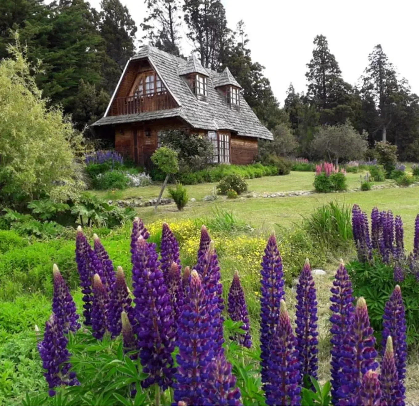 Casa patagónica rodeada de jardín y lupinos en flor