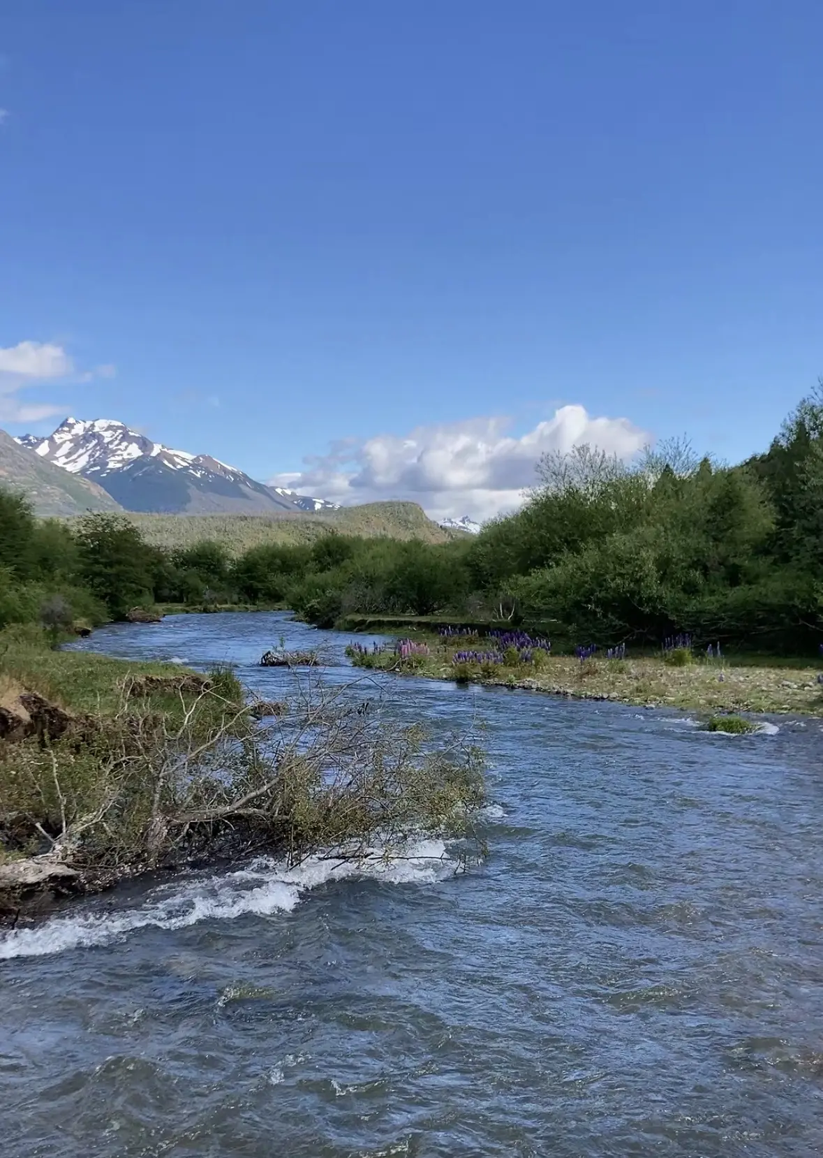 Río de montaña con la cordillera nevada al fondo